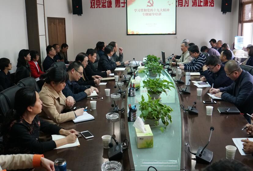 集團召開系統(tǒng)黨組織書記學習十九大精神專題培訓(xùn)會