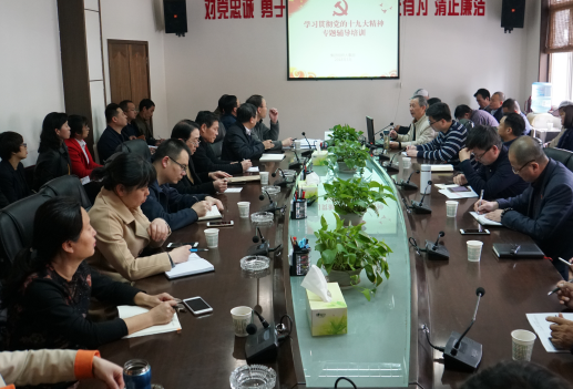 集團召開系統(tǒng)黨組織書記學習十九大精神專題培訓(xùn)會